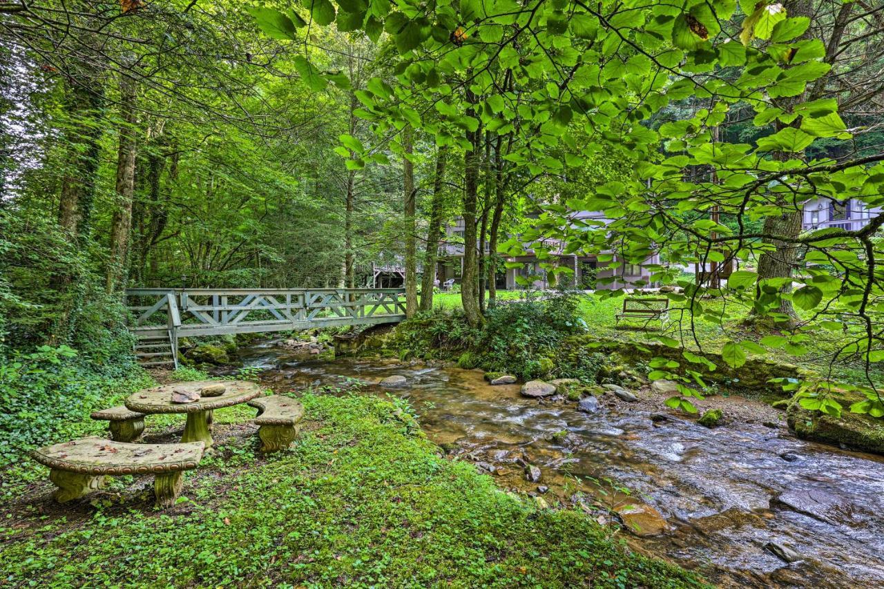 Roan Mountain Creekside Cabin Hike And Fish! Екстер'єр фото