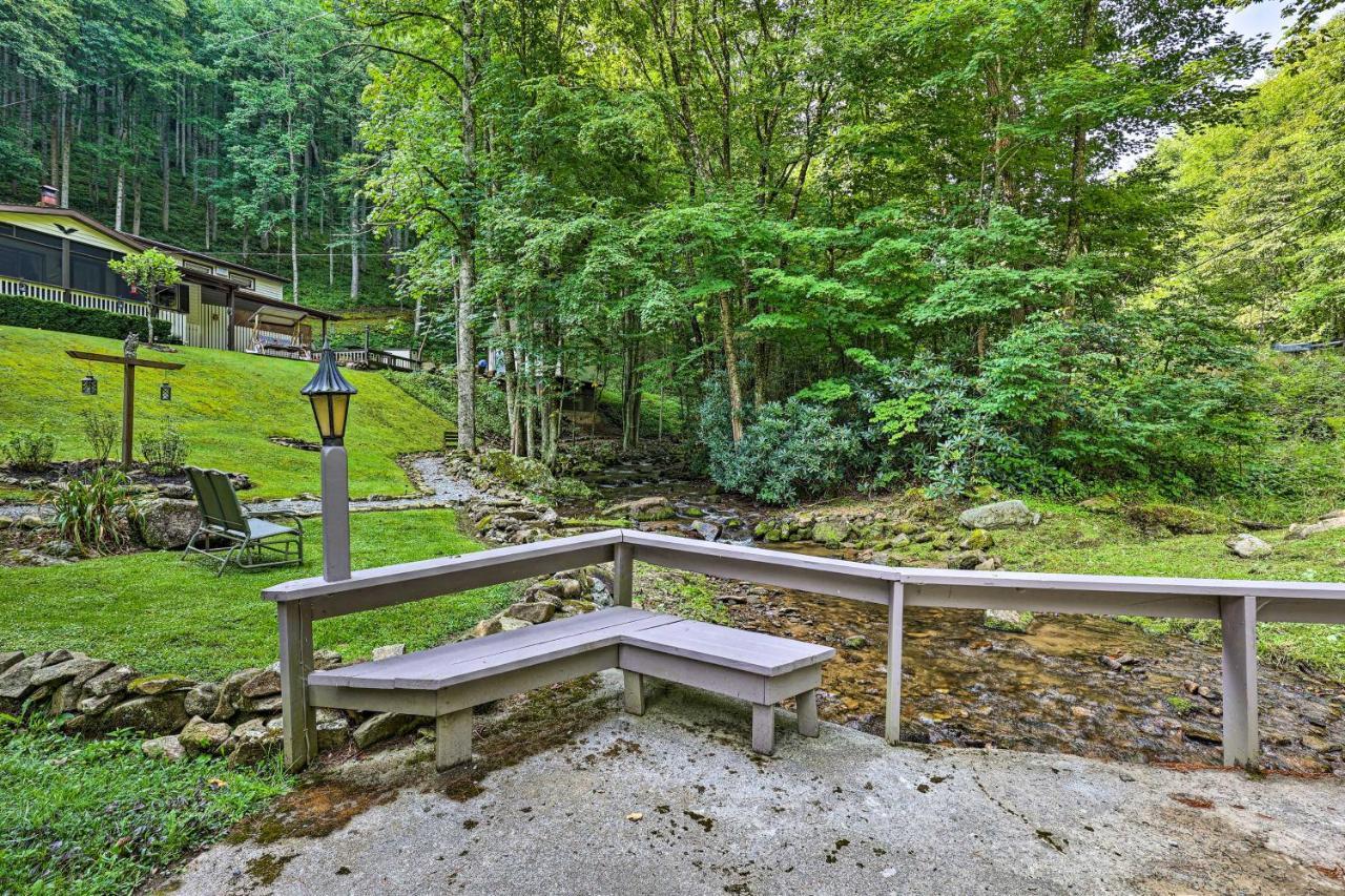 Roan Mountain Creekside Cabin Hike And Fish! Екстер'єр фото
