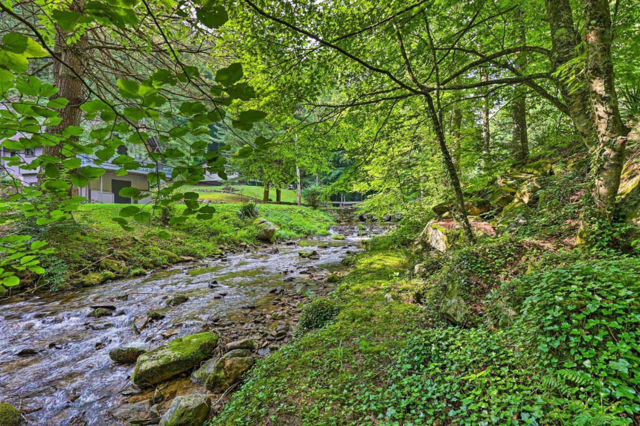Roan Mountain Creekside Cabin Hike And Fish! Екстер'єр фото