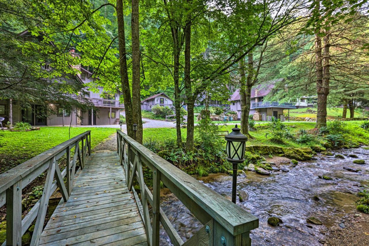 Roan Mountain Creekside Cabin Hike And Fish! Екстер'єр фото