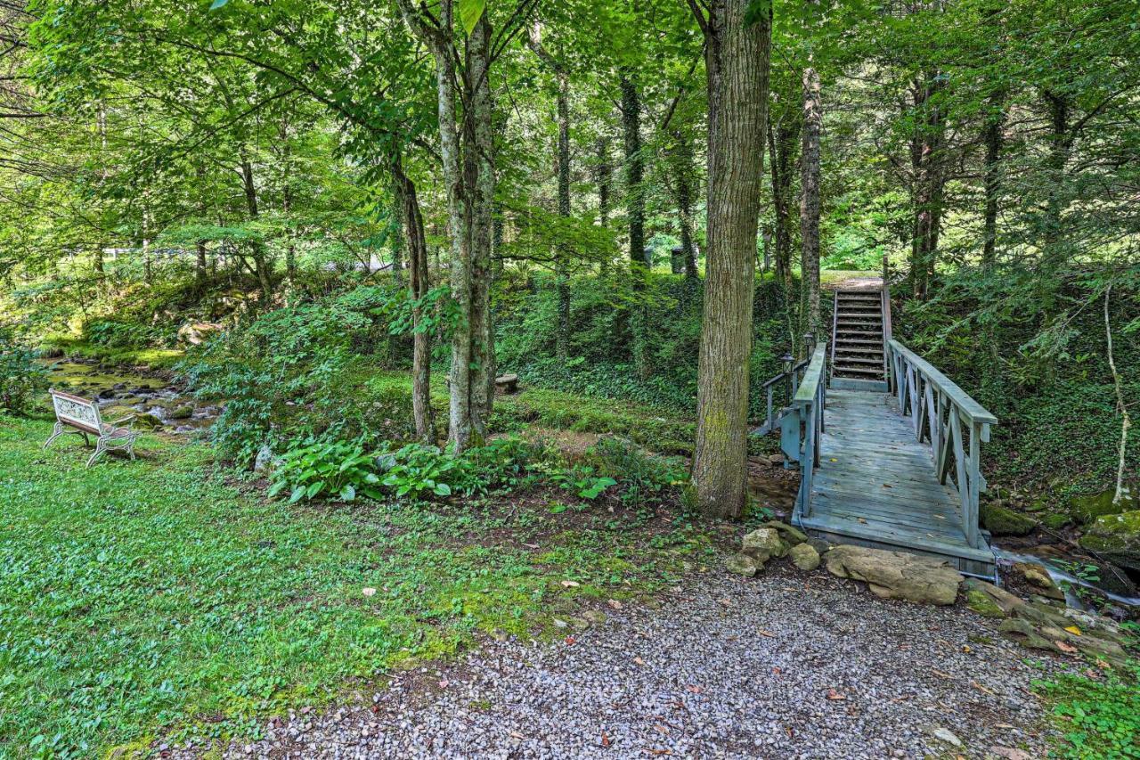 Roan Mountain Creekside Cabin Hike And Fish! Екстер'єр фото